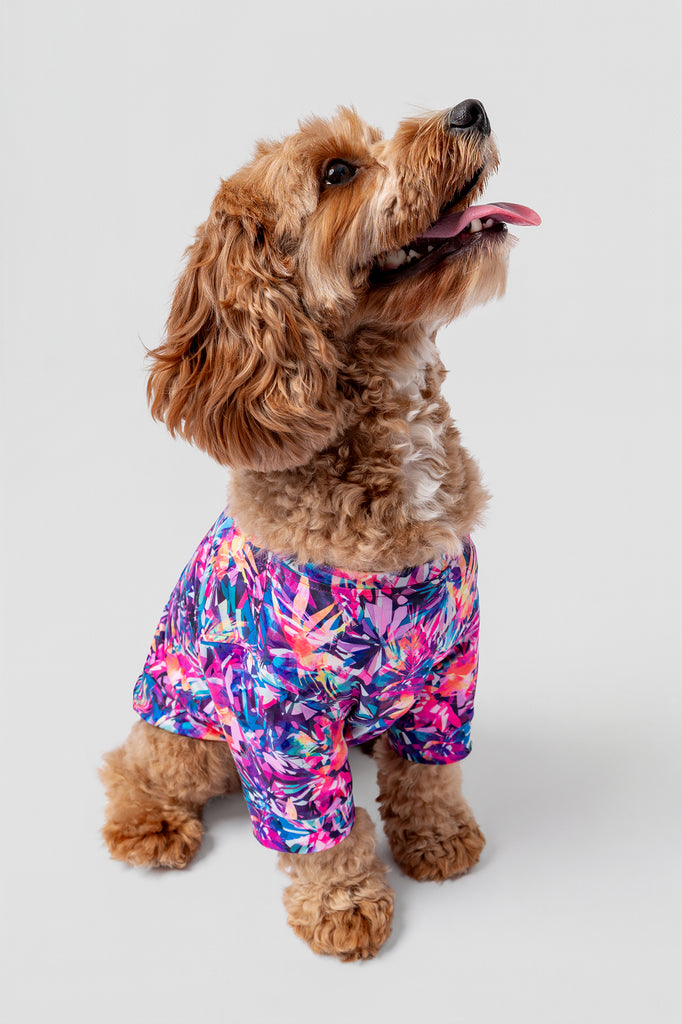 lelosi lelopet t-shirt alasie 0